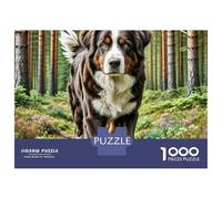 Irish Setter 1000 Pièces Papier Écologique Résistant Coffret De Puzzles Adorable Pet Stimulant Et Éducatif Jeu Familial Puzzles Cadeaux pour La Famille Et Les Amis 38x26cm/1000pcs