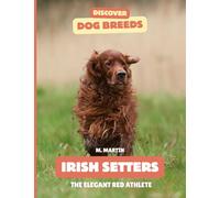 Irish Setters: The Elegant Red Athlete