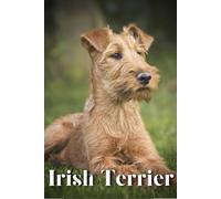 Irish Terrier: Dog Breed Overview And Guide