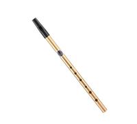 Irish Tin Whistle For Beginners - C Key D Key Recorder | Professional Pennywhistle Instrument For Students | High-Pitched Traditional Flute, Easy Play