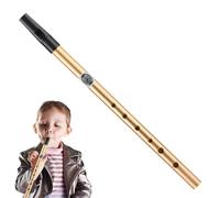 Irish Tin Whistle - Instrument de frappe à main - Tube de sifflet en tôle de qualité sonore claire - Pipe professionnelle pour anniversaire, Pâques, Noël, jeu professionnel