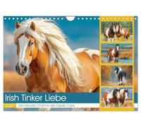 Irish Tinker Liebe. Der robuste Charme der Gypsy Cobs (Wandkalender 2027 DIN A4 quer), CALVENDO Monatskalender: Die kraftvolle Eleganz und sanfte Seele der Irish Tinker in natürlichen Farmlandszenen