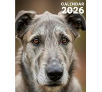 Irish Wolfhound 2026 Calendar: An 8.5 x 11 Inch Collection of Breathtaking Photography & Monthly Planner