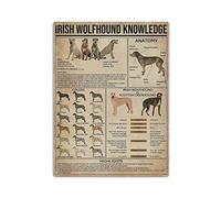 Irish Wolfhound Knowledge Poster Métal Tin Sign Art Wall Plaque Decor Vintage Retro Sign Iron Painting Aluminium Sign for Home Decor Bar Shop Men Cave Outdoor Garage Indoor 16"x12"