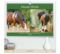 Irlands Pferde. Irish Tinker zwischen Weiden, Wasser und Wald (hochwertiger Premium Wandkalender 2027 DIN A2 quer), Kunstdruck in Hochglanz: ... und Anmut der Irish Tinker im Herzen Irlands