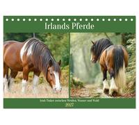 Irlands Pferde. Irish Tinker zwischen Weiden, Wasser und Wald (Tischkalender 2027 DIN A5 quer), CALVENDO Monatskalender: Stimmungsvolle Bilder zeigen ... und Anmut der Irish Tinker im Herzen Irlands