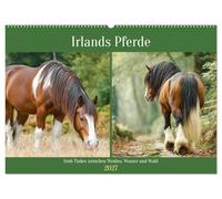 Irlands Pferde. Irish Tinker zwischen Weiden, Wasser und Wald (Wandkalender 2027 DIN A2 quer), CALVENDO Monatskalender: Stimmungsvolle Bilder zeigen ... und Anmut der Irish Tinker im Herzen Irlands