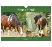 Irlands Pferde. Irish Tinker zwischen Weiden, Wasser und Wald (Wandkalender 2027 DIN A4 quer), CALVENDO Monatskalender: Stimmungsvolle Bilder zeigen ... und Anmut der Irish Tinker im Herzen Irlands