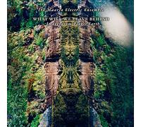 Iro Haarla Electric Ensemble – What Will We Leave Behind – Vinyle (Import)