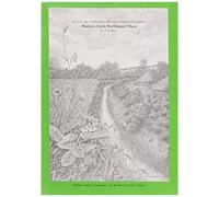 Iron Age And Romano-British Enclosed Settlement At Watkins Farm, Northmoor, Oxon