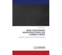 IRON-CONTAINING NANOSTRUCTURES ON CARBON FIBERS: Structure, Formation, And Functional Properties