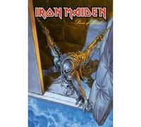 Iron Maiden Bruce Dickinson (Auteur), Collectif (Auteur), Juanjo Guarnido (Contributions), Sylvain Savarin (Traduction)