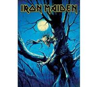 Iron Maiden - Carte postale "Fear Of The Dark" RO7750 (Taille unique) (Bleu/Noir)