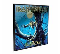 Iron Maiden Fear Of The Dark Cadre Crystal 32cm