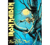 Iron Maiden Fear of The Dark Poster 30 x 40 cm