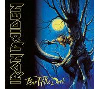 Iron Maiden - Fear Of The Dark - Rem. Digipack Éd.