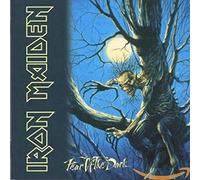 Fear Of The Dark - Cd+