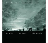 Iron Stone by Robin Williamson (2007-05-03)