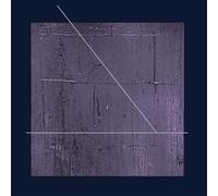 Irrational Thinking Of The Subject