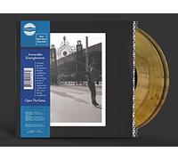 Irreversible Entanglements - Open the Gates (Vinyl Coloured Edt.)