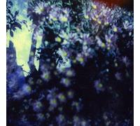 Is and of the - Heads Phased for. [Import]