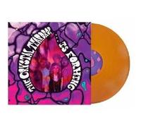 Is Forming Vinyle Orange