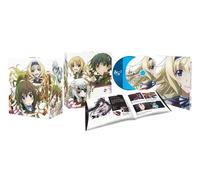 Is [Infinite Stratos] 2 Vol.2 [Import allemand]