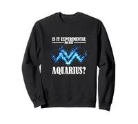 is IT Experimental Or Just Aquarius? Sweatshirt
