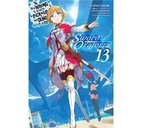 Is It Wrong to Try to Pick Up Girls in a Dungeon On the Side Sword Oratoria Vol. 13 light novel - Kiyotaka Haimura - Little Brown amp Company - Livre en A Kiyotaka HaimuraKiyotaka Haimura (Auteur)