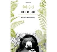 is One Return to Life in The Wild for 3 Sun Bear Cubs