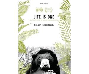 is One Return to Life in The Wild for 3 Sun Bear Cubs