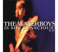 Waterboys - is She Conscious