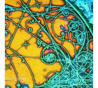 Is This It by The Strokes [Audio CD] NEUF