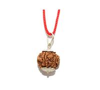 IS4A Pendentif en argent certifié 6 Mukhi Rudraksha (Rudraksh)