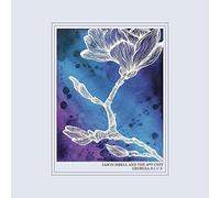 Isbell - Georgia Blue