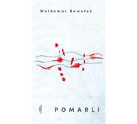 ISBN 978-83-804-9972-0, polonais, couverture rigide, 208 pages