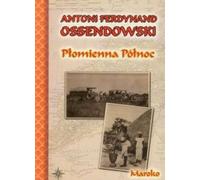 ISBN 9788375652673, polonais, couverture rigide, 320 p.