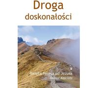 ISBN 9788376043401, polonais, broché, 272 p.