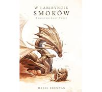 ISBN Dans le labyrinthe des drakes, polonais, broché, 340 p.