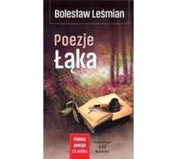 ISBN Poetry Meadow, Polonais, Couverture de brochure, 162 page(s)