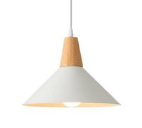 ISCBAFYX Abat-Jour de Lampe Suspendue en Fer de personnalité créative, de Style Minimaliste Japonais, Suspension à Une tête de Base E27, Magasin de thé au Lait, Magasin de vêtements, luminaires
