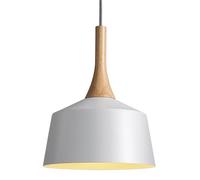 ISCBAFYX Lampe à Suspension en métal de personnalité créative, à tête Unique de Base E27, luminaires de Plafond, Lampe Suspendue de décoration de Couloir de Salon de Chambre à Coucher
