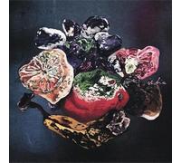 Ischia - Leave Me to The Future [Import]