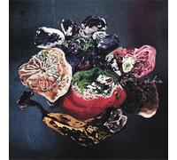 Ischia - Leave Me to The Future [Import]