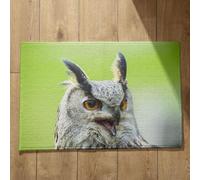 Isdreem Grand Tapis de Bain Tapis D'Entrée Intérieur Naturel Aigle Tapis de Sol XXL Paillasson Ultra Absorbant Tapis Décoratifs Antidérapants en Coton Léger Et Pelucheux, 50x80cm