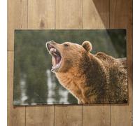 Isdreem Grand Tapis de Bain Tapis D'Entrée Très Fin Ours Tapis de Porte Fin Paillasson Home Tapis Décoratifs Antidérapants en Coton Léger Et Pelucheux, 50x80cm