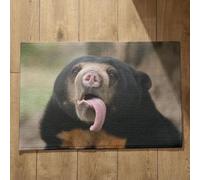 Isdreem Grand Tapis de Cuisine Antidérapant Et Lavable Entrée Extérieur Personnalisé Ours Long Paillasson Intérieur Original, 45x75cm