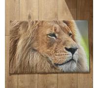 Isdreem Grand Tapis de Cuisine Tapis Entrée Ultra Fine Lion Tapis de Bain Vintage Tapis D'Entrée Coloré Tapis Décoratifs Antidérapants en Coton Léger Et Pelucheux, 50x80cm