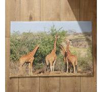 Isdreem Grand Tapis de Porte D'Entrée Paillasson Attrape Poussiere Girafe Tapis de Porte D'Entrée Bienvenue Tapis D'Entrée Fin Tapis Décoratifs Antidérapants, 40x60cm