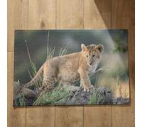 Isdreem Grand Tapis de Porte D'Entrée Tapis Pas de Porte Exterieur Lion Tapis de Porte D'Entrée Bienvenue Paillasson Absorbant Entree Tapis Décoratifs Antidérapants, 40x60cm
